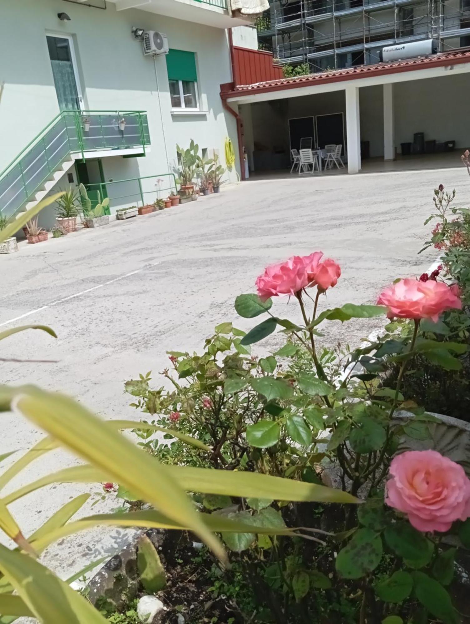 Gorizia Vacanze Appartamento In Villa Con Parcheggio Eksteriør billede